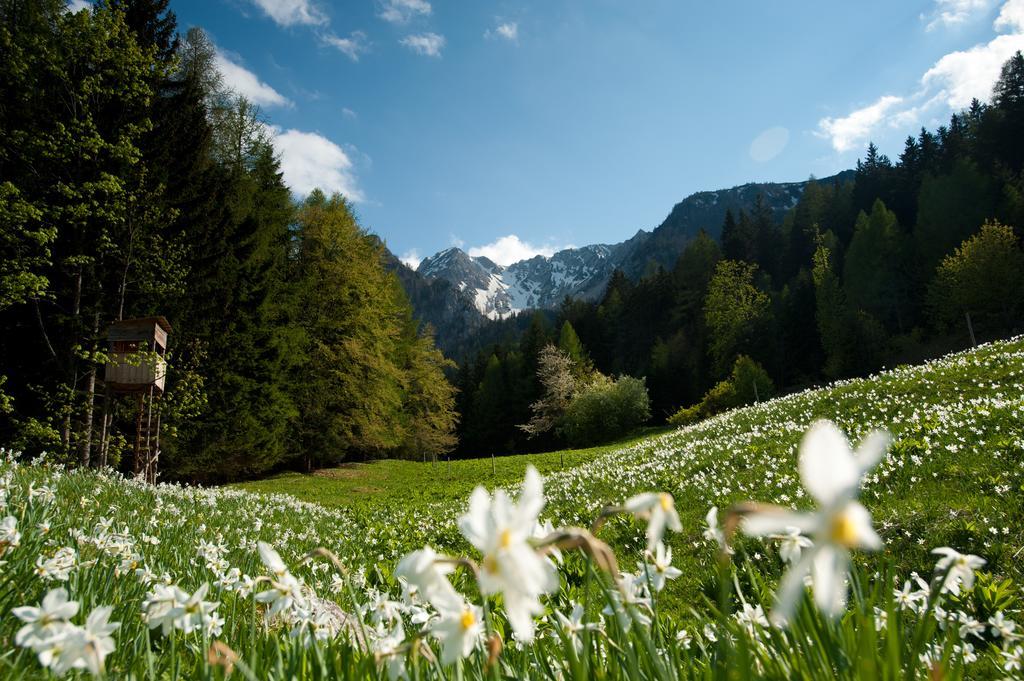 Gasthaus Stefaner Feistritz im Rosental المظهر الخارجي الصورة