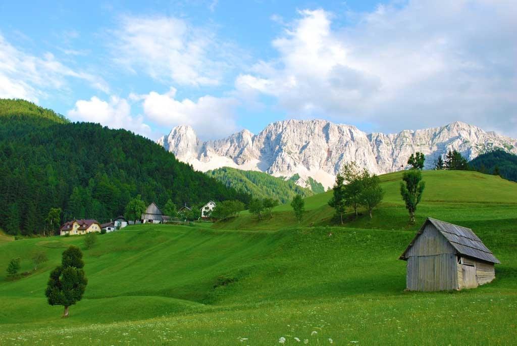 Gasthaus Stefaner Feistritz im Rosental المظهر الخارجي الصورة
