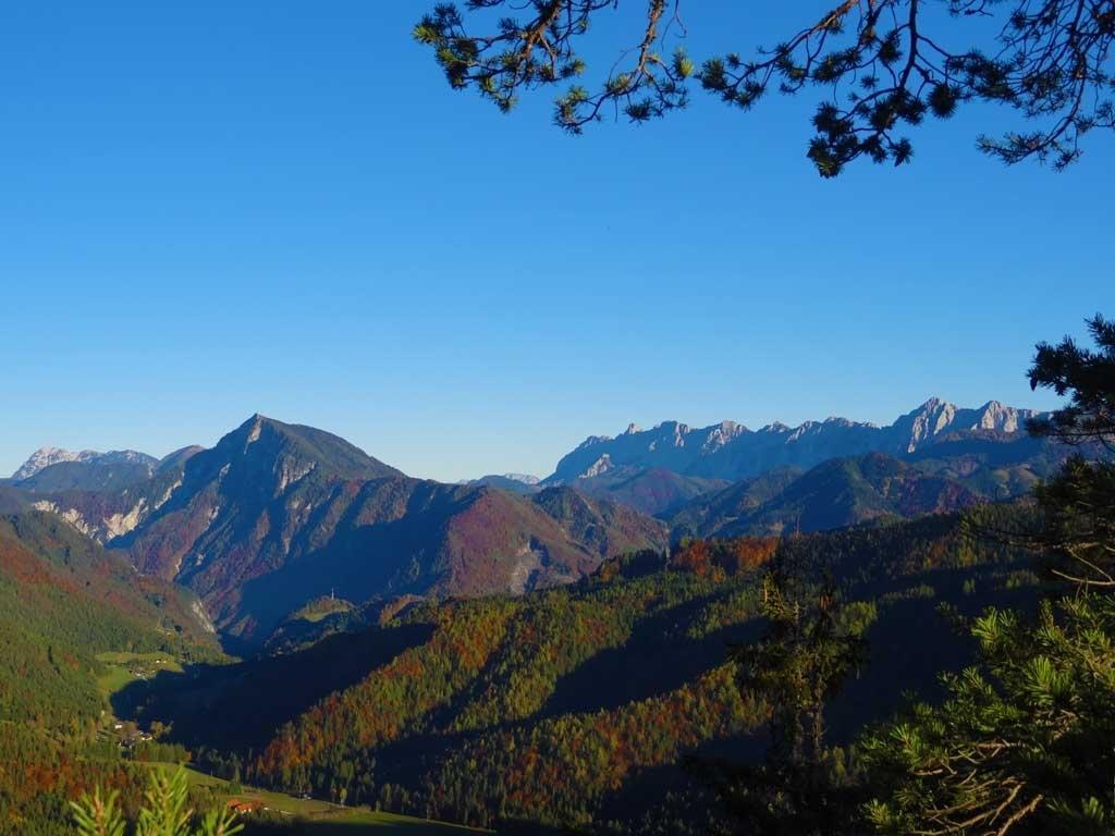 Gasthaus Stefaner Feistritz im Rosental المظهر الخارجي الصورة